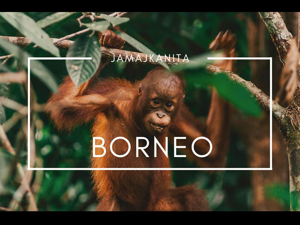 zájazd Borneo